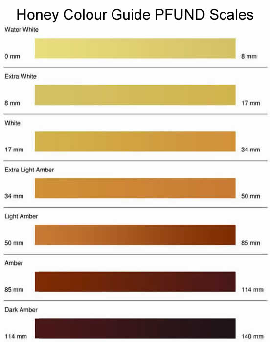 PFUND Scale - Honey Colours